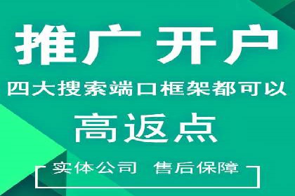 SEM托管成功案例：揭秘高效广告投放策略